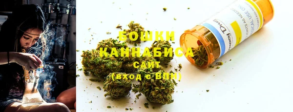 PSILOCYBIN Гусев