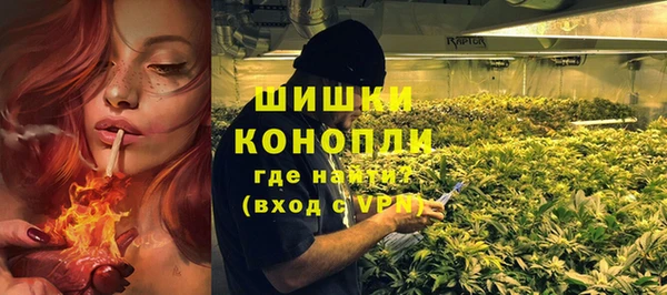 PSILOCYBIN Гусев