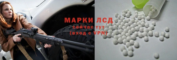 PSILOCYBIN Гусев