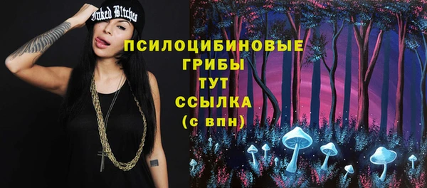 кокаин Гусь-Хрустальный