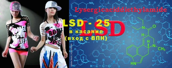 PSILOCYBIN Гусев