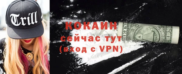 гидра Горно-Алтайск