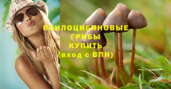 бутират Гусиноозёрск