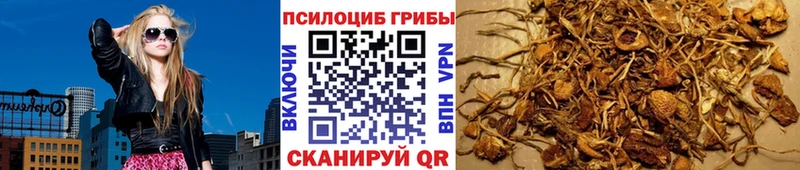 Псилоцибиновые грибы GOLDEN TEACHER Кунгур
