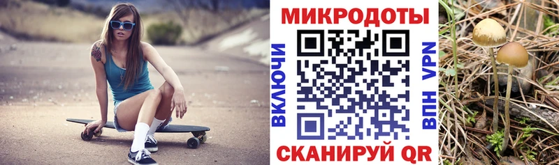 Псилоцибиновые грибы Psilocybine cubensis  Купить  Кунгур 